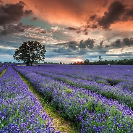 La Maison Des Collines *