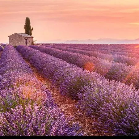 La Maison Des Collines Privat bolig *