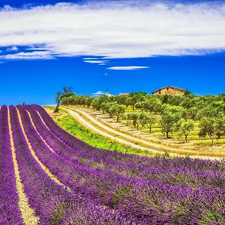 La Maison Des Collines Séjour chez l'habitant Allemagne-en-Provence