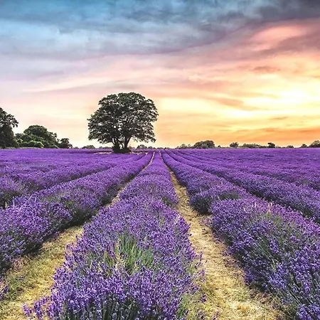La Maison Des Collines Rum i privatbostad *