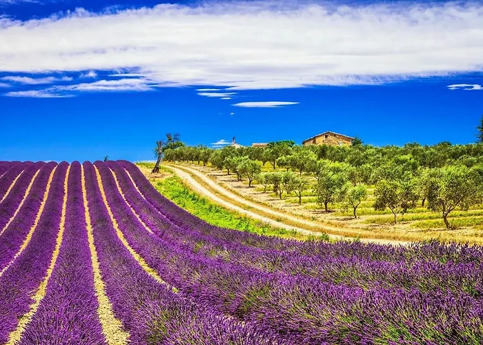 La Maison Des Collines Homestay Allemagne-en-Provence