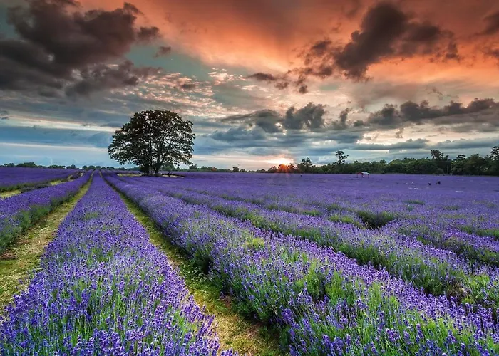 La Maison Des Collines *