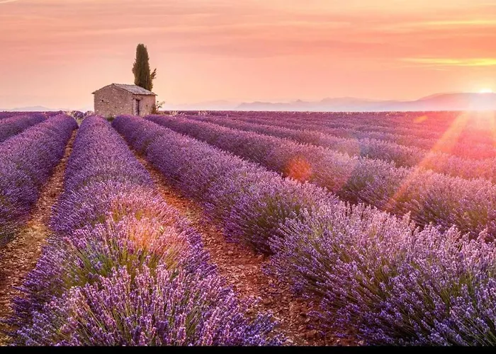 La Maison Des Collines Homestay *